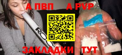 твердый Кингисепп