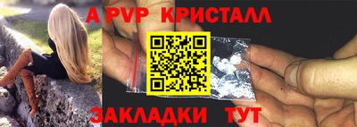 твердый Кингисепп