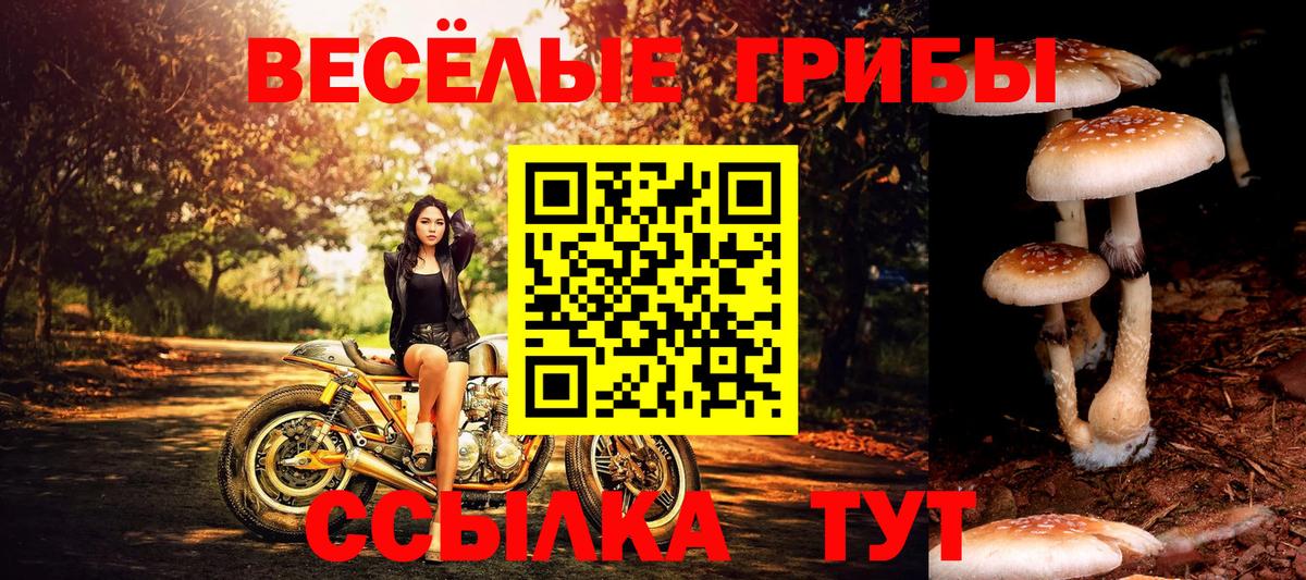 Галлюциногенные грибы ЛСД  Галлюциногенные грибы ЛСД  Коряжма  Вход с VPN 