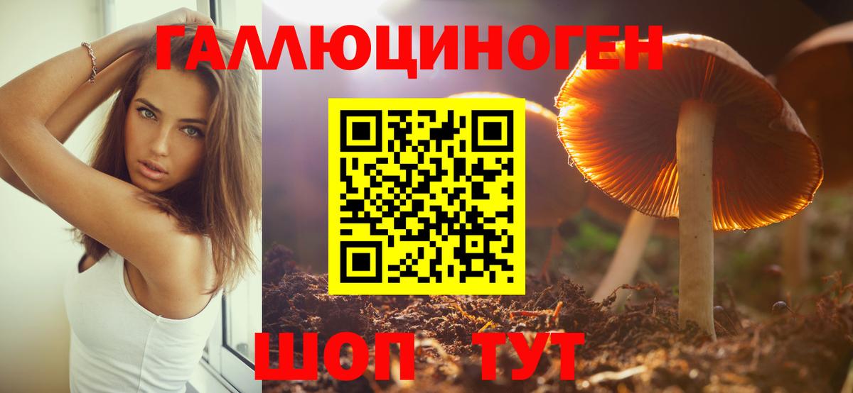 Псилоцибиновые грибы мицелий Коряжма